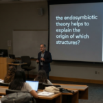 The Endosymbiotic Theory and the Origin of Cell Structures